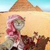 eroor_9q