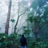 shengwaylo