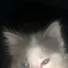 mqwhrv