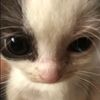 its_soelcute
