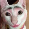 wisegurlalu