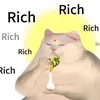 hăm có gì