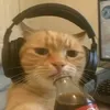 djagddaflp