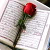 user5123107413720