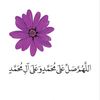 pajtan05