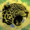 ONÇA NEWS