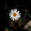 kamusiapa1.2.3