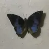 ma_ux5