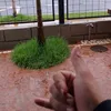 marcelowellingto38