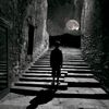 zinebbe22