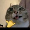 ninanoud