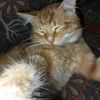 farizz1324