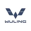 wulingev_id