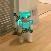 tortu211