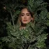 adinathewitch