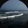 meral._169