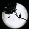 user4219691452037