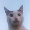 hateriskan
