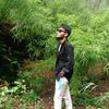 niroj.mandal
