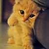 dy3ioxei3hwq