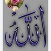 user4091955801212