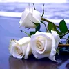 auraq.xarif