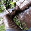 wet_and_muddy