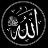 user5125673530056
