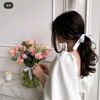 doniashehab123