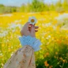 sham.shefa