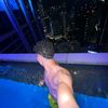 belal_123781