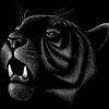 samiz_pro