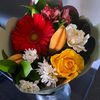 lizabee62