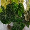 holiday_481
