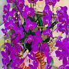 thanhthanh93969