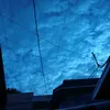 dnc012_