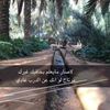 maa_736