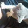 hyuhoamg