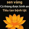 duylinhdang843