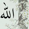 lailasheikh7