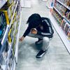 kelelawar_albino