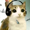 bryancomchilli