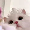 zainabkhn18