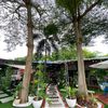 TERATAK POKOK RHU