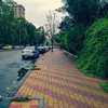 dy4jwwssckqm