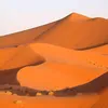 danyele73345