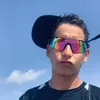 alvexs7_
