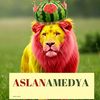 MEHMET VEHBİ ASLAN
