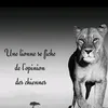 lamiracul
