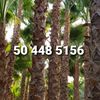 user9317579546650